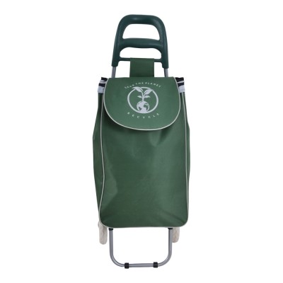 ΚΑΡΟΤΣΙ ΛΑΪΚΗΣ ΜΕΤΑΛΛΙΚΟ ΜΕ ΠΡΑΣΙΝΟ ΣΑΚΟ ΚΑΙ ΣΧΕΔΙΟ REYCLE 35x27x94εκ. ANKOR