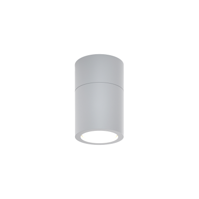 it-Lighting Chelan 1xGU10 Outdoor Ceiling Down Light Grey D:10.3cmx6cm (80300134)